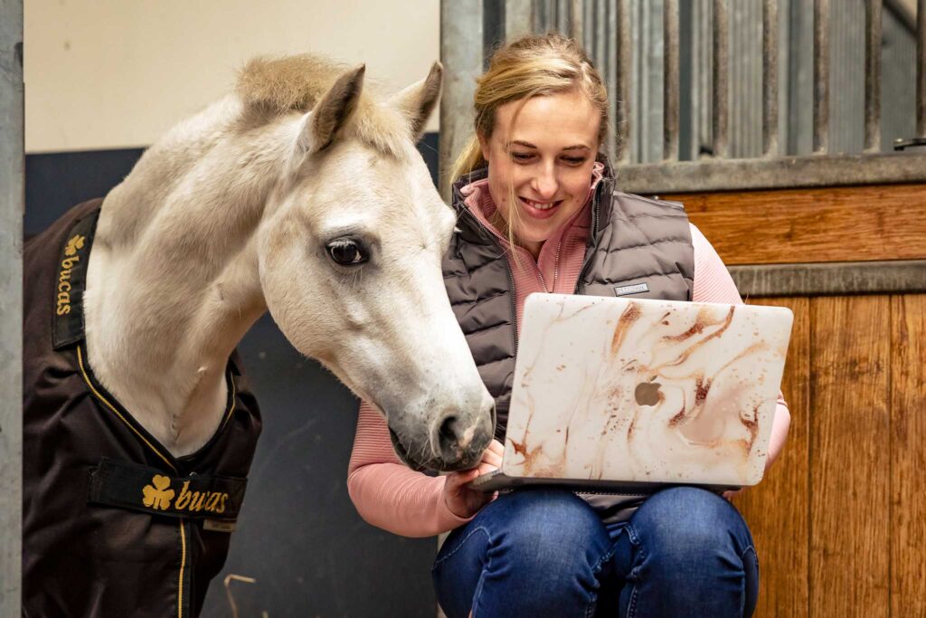 Marketing-voor-paardensector